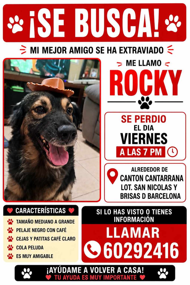 lyssitta's tweet photo. SERVICIO SOCIAL✅️
#SEBUSCA https://t.co/ODN7TqdTxM
