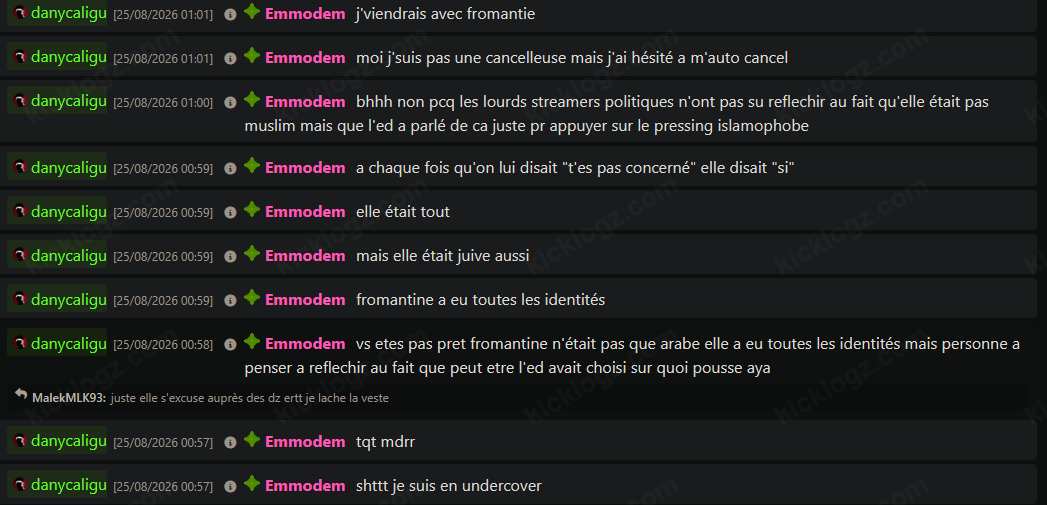 bitchiteau's tweet photo. "fromantine a eu toutes les identités" mhh oui mais ton rp n'en était pas moins raciste pour autant https://t.co/kNrkvwpiCZ