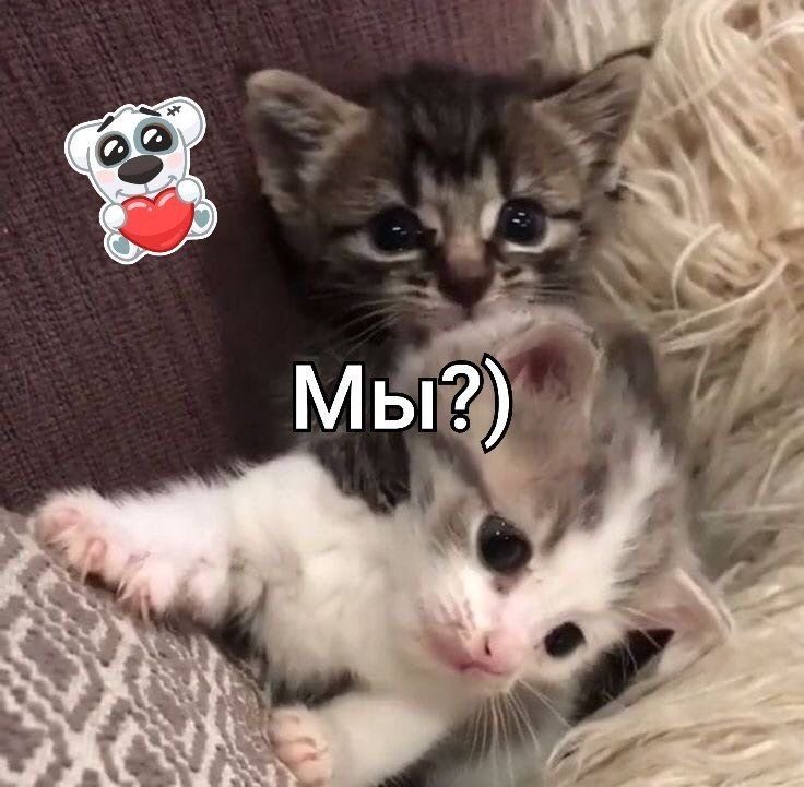 didishka04's tweet photo. @nervvk может увидимся следующим летом?🥺 https://t.co/ceAslnIByn