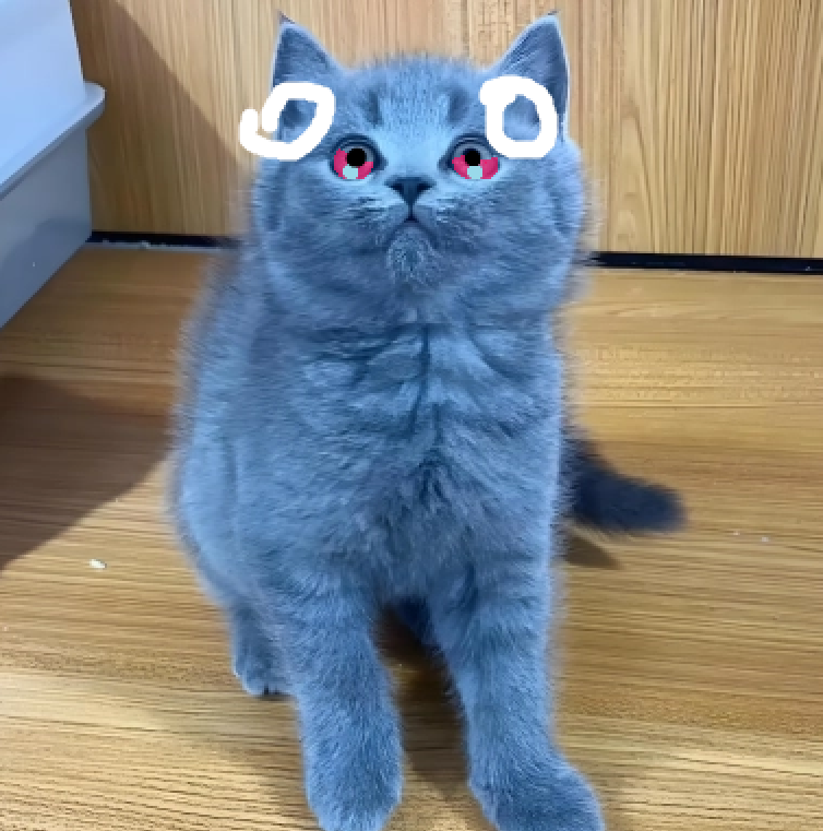 NyanCaker's tweet photo. ola soi nian keke y este es mi face reveal https://t.co/UUhzIe7lCJ