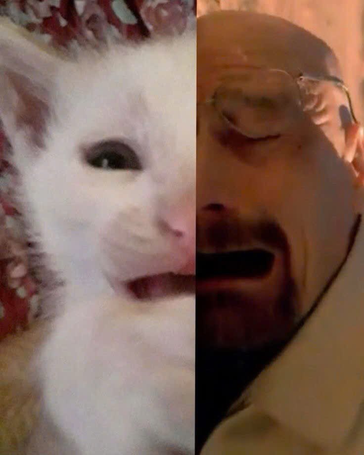 nothingokbro's tweet photo. @artifyber oh no, hes gonna melt https://t.co/KcrVZuu5Vd