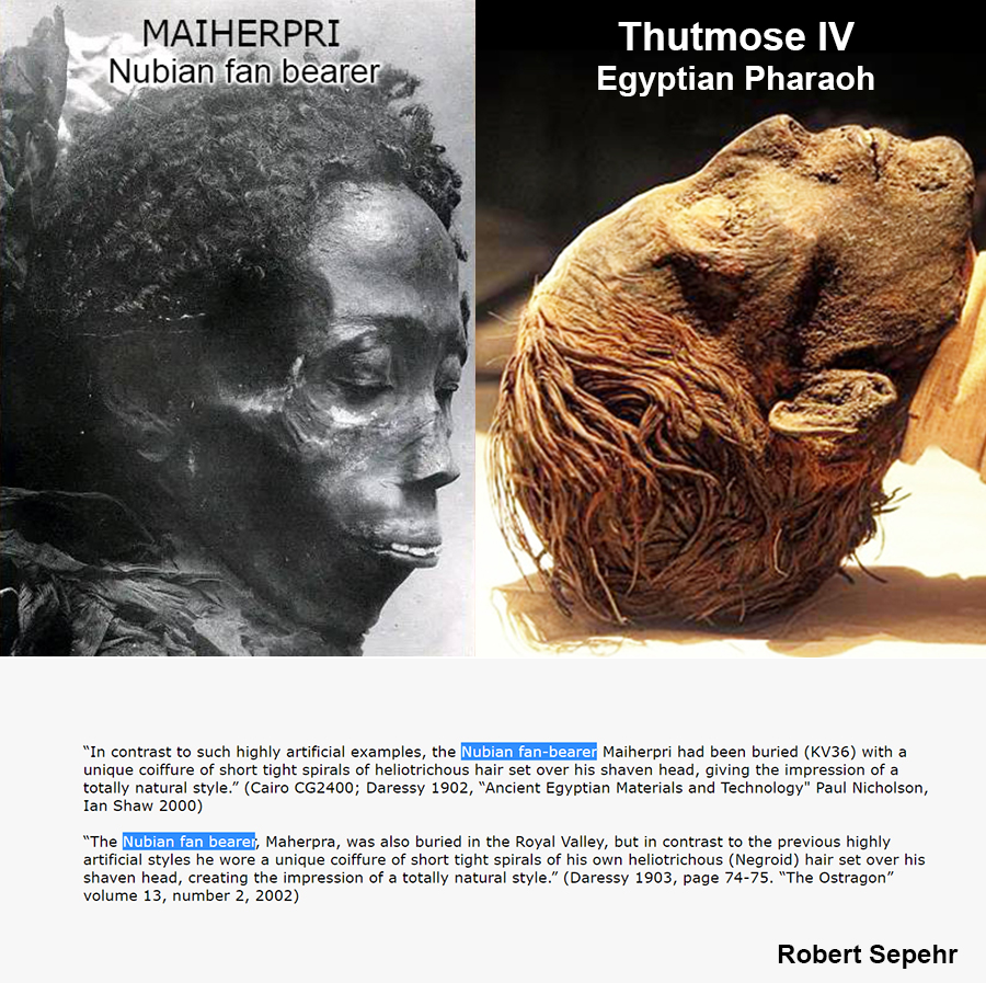 robertsepehr's tweet photo. @LiberTDayWalker @arkivx There were no Black Pharaohs, and only one black mummy of a slave (fan bearer). https://t.co/MPqCCktSO3