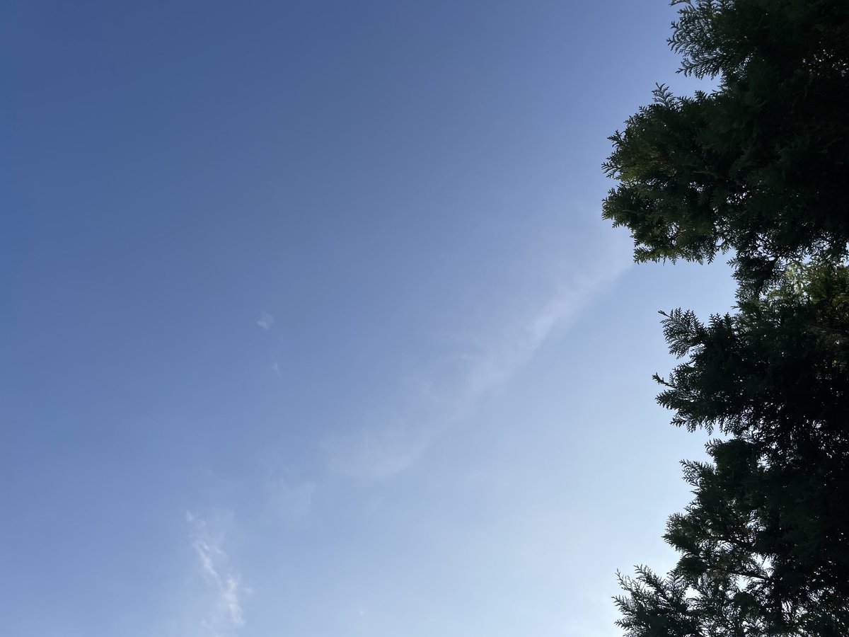 keyboardstrike's tweet photo. おはよう
#朝の空　晴れ　26.9℃　7:02 https://t.co/8bI5T6prxs