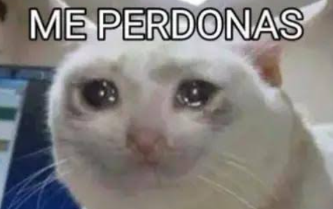 Mango_2099's tweet photo. 👋Hola chicos, cuanto tiempo¡¡¡
Bueno primero que todo pido unas disculpas por la demora eterna que fue hacer este proyecto de "SOU", de verdad no saben lo apenado que estoy por demorarme tanto y traer tan poco; pero me gustaria contar un poco pos el porque paso esto. https://t.co/1Fy42MOP92