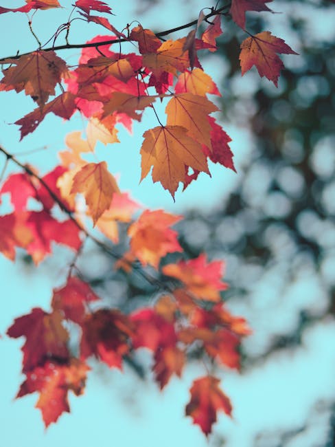 LeonidaGrixthv's tweet photo. من لا دون الضحكة في يمكن أن يضيء الحنين كل ابتسامة. arianne drawdy🍂 https://t.co/PJgP14MJxv