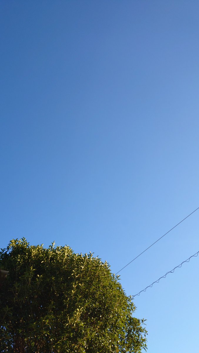 fukukuma's tweet photo. おはようございます。
今朝も青空の良いお天気です。
今日も暑い日になりそうですね。
こまめな水分補給と、
熱中症対策お忘れなく。

皆様、良い一日を。 https://t.co/Yv0ZBsz98n