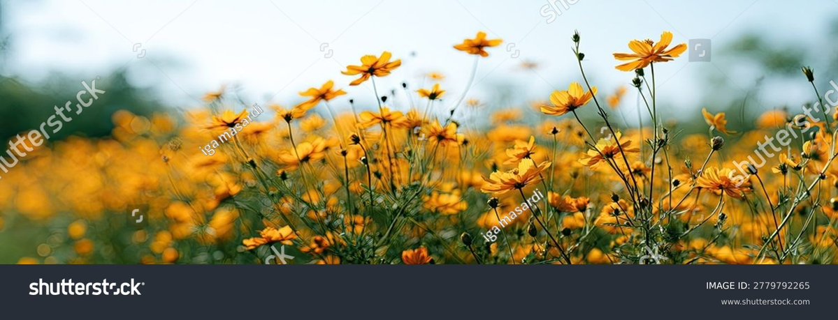 YingWilgus's tweet photo. AIbout a week later, I asked for his Instagram.T matched with a guy on Tinder that I ended up liking. He complimented me and seemed genuinely attracted to me.
inder guy I ended up liking removed me from Instagram and I’m just curious why https://t.co/7rPYQNnccq