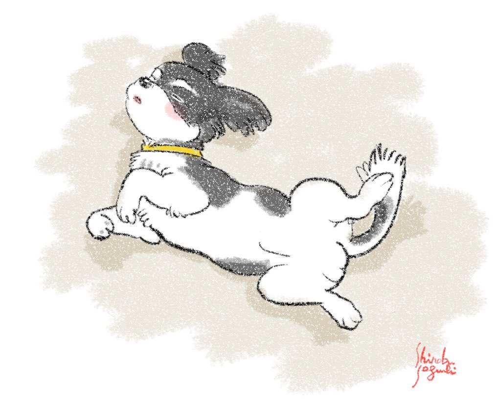 ShinobuSeguchi's tweet photo. #世界犬の日 https://t.co/l9ySit17gv