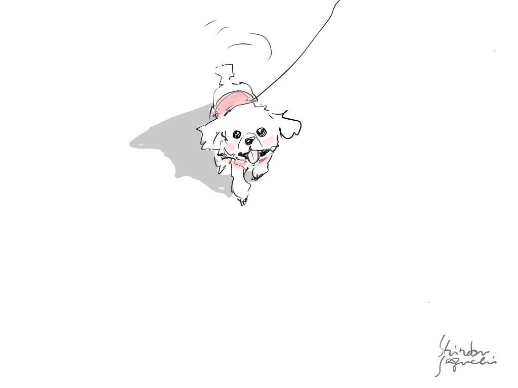 ShinobuSeguchi's tweet photo. #世界犬の日 https://t.co/l9ySit17gv