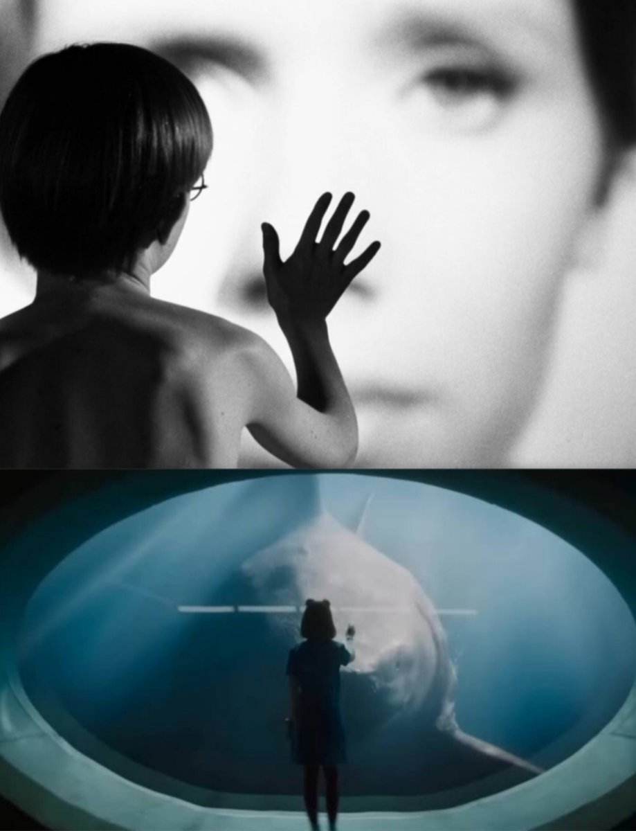 now_thats_oscar's tweet photo. Persona (1966)    //    The Meg 2: The Trench (2023) https://t.co/BIhEhdlwjc