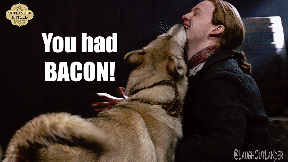 OutlandishScot's tweet photo. Today’s last August 26th #Outlander National Dog Day rerun (posted a day early) is from @LaughOutLander. It is another that features #ROLLO, when he was played by Mac Dubh--aka "Dui"! @RolloWolfDog @JHooked1 @OutlanderRollo @JohnBell https://t.co/QkeqEz2G1Y https://t.co/u1XQWffjj2