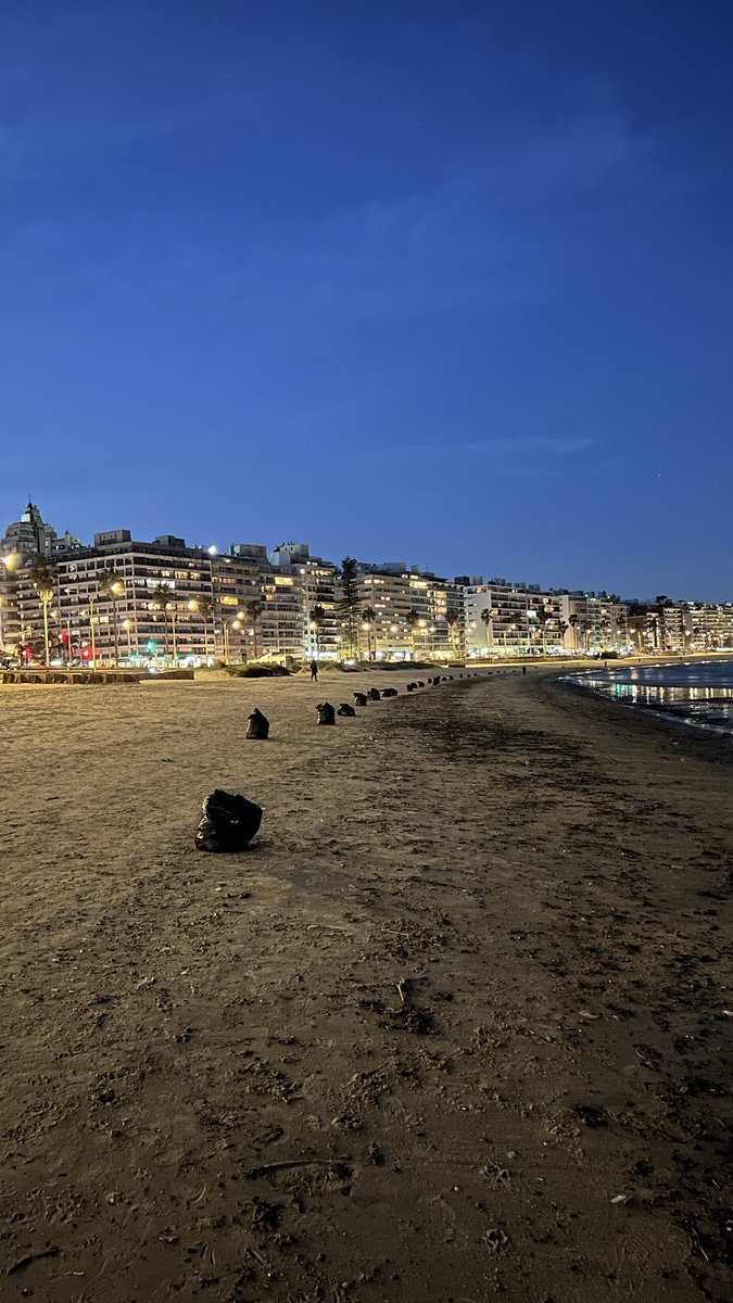 maruusr's tweet photo. Hola @Mario_Bergara era para contarte que los vecinos del CH ya limpiamos la playa.
@montevideoIM por lo menos levanten las bolsas! Gracias https://t.co/qtVVpxr6OP