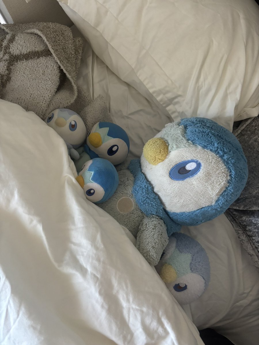 chama393's tweet photo. お家でお留守番してもらってるけどもう会いたいよー https://t.co/7sFmnt6BdO