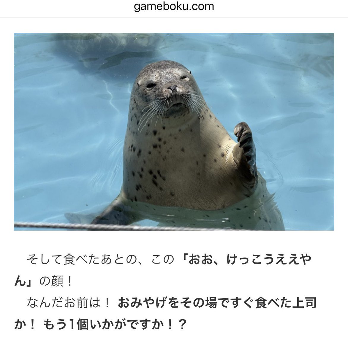 gamebokusan's tweet photo. おたる水族館のアザラシ、気さくな上司説 https://t.co/oU2KaX2nmG