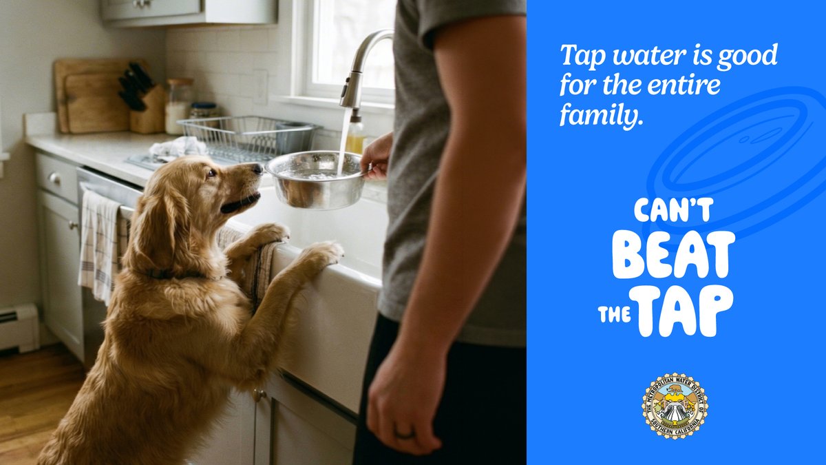 mwdh2o's tweet photo. Make tap water a part of your daily routine. It’s a healthy choice for you, your family &amp; even your furry companions! Metropolitan performs extensive water quality testing &amp; monitoring to help keep SoCal’s drinking water great tasting &amp; refreshing. https://t.co/bGjo8agKje. https://t.co/6dRNHnp3mn