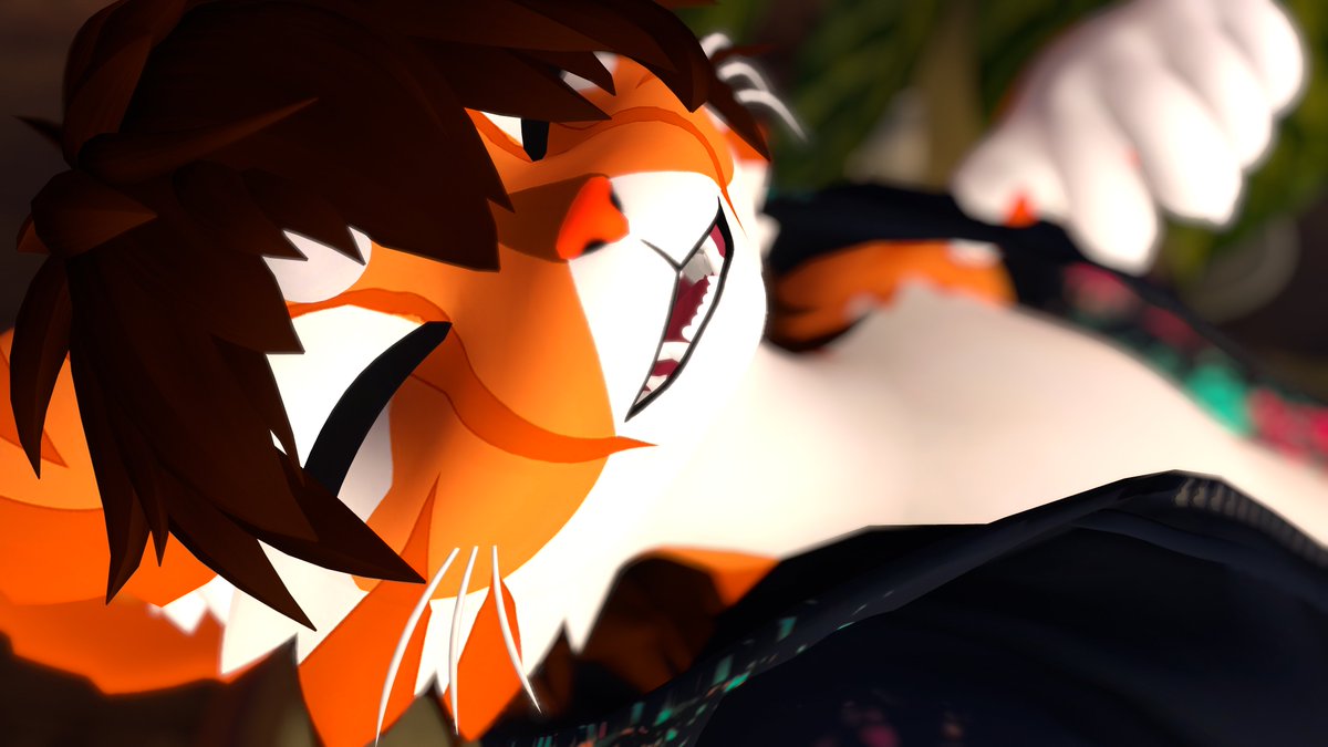 Shredifyer's tweet photo. Orange Cat activities https://t.co/EqBkuwuu5N