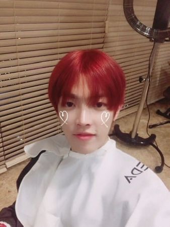no1likecarlyx's tweet photo. His red hair :( https://t.co/Q6FCpv2moD
