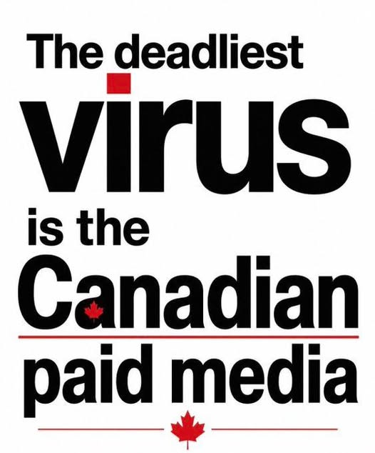 pete_porcupine's tweet photo. https://t.co/iZCIq2s42z
