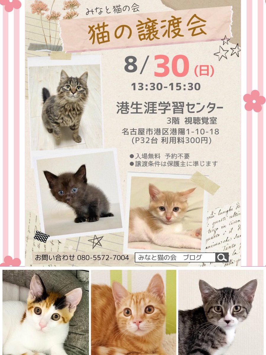 minatonekonokai's tweet photo. #拡散RPお願いします
あなたのリポストで、優しいご縁が繋がります

【保護猫の譲渡会】
8/30(日)13:30-15:30
名古屋市港生涯学習センター

ずっとの家族を待つ37匹の猫が参加🍀
あなたのリポストが、猫たちの未来を変える一歩になります

いつもご協力ありがとうございます

#猫好きさんと繋がりたい https://t.co/QoBM1Ldoeh