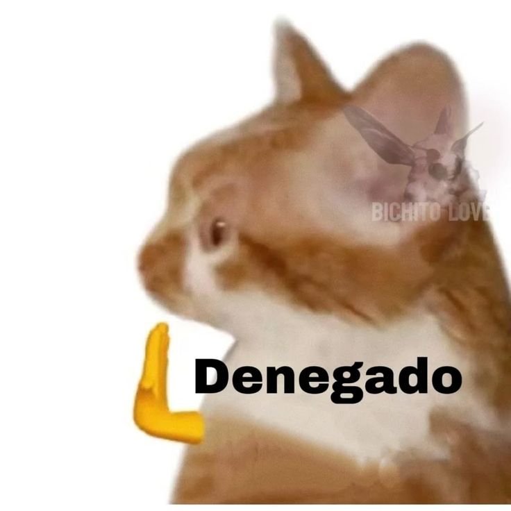 rosesaredeath__'s tweet photo. me puse a dibujar para quitarme la ansiedad y me dio más ansiedad lol q mal https://t.co/2EaRwK0xnm