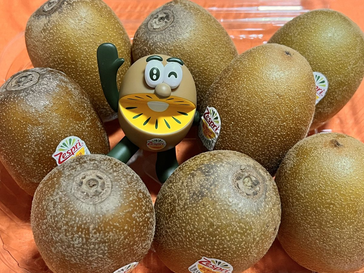 TZN_CAT_C's tweet photo. グッモーニャ！
　 ∧　∧
ฅ(=ΦᴥΦ)ฅ
今日のラッキーお寿司は甘エビニャ！

昨日買ったキウイを食べたニャ！
セット2100円したけど、サンゴールドキウイが1つ200円近くするから8個でフィギュアは600円くらいで割と妥当な価格ニャ。
初日はまだ固くて1週間くらい追熟させると甘くなるらしいニャ。 https://t.co/bIPRx6C0px
