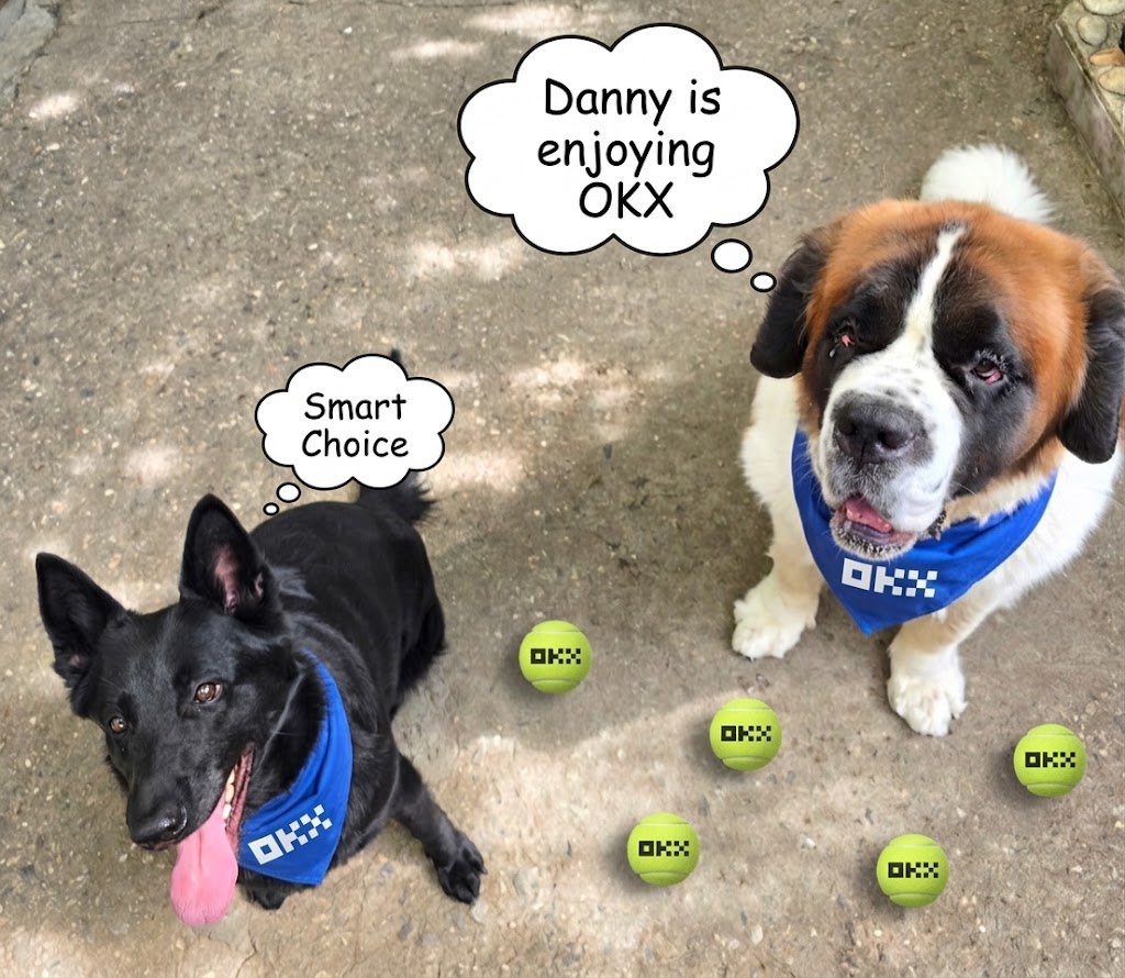 dani_unss's tweet photo. Happy International Dogs Day from my two ❤️ Even they know @okx is the smartest choice out there 💪

https://t.co/NvN3JOUuXG

I believe they deserve an OKX Present today @star_okx 🙂 https://t.co/Dufv6AiI4a