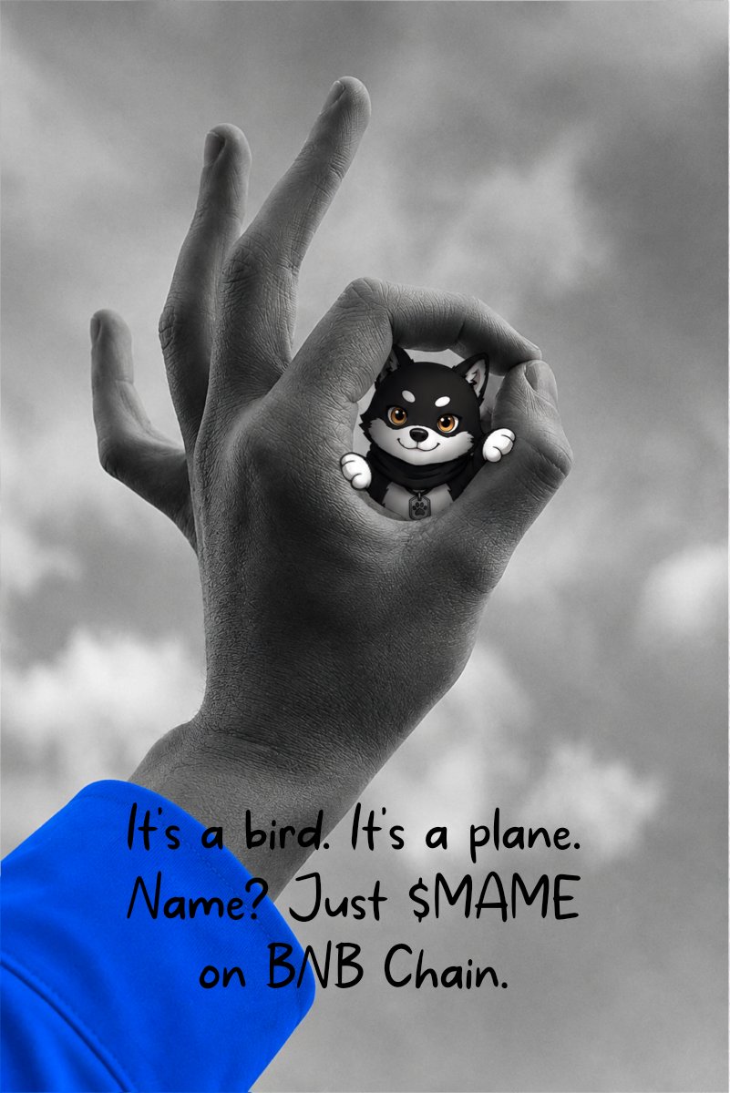 mamebnb's tweet photo. @HTX_Global It’s a bird. It’s a plane.
Name? Just $MAME
on BNB Chain ✌️😎 https://t.co/PE1ci3WSX2