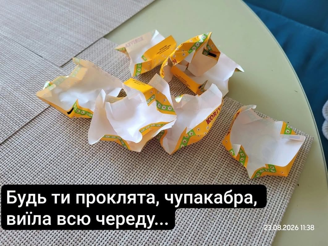 oleksandramazur's tweet photo. https://t.co/eeAzsfOL4M