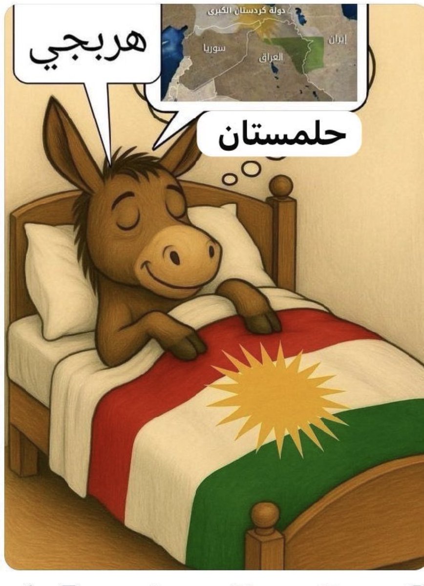 Man30Sy's tweet photo. @GileadMeir اليوم طارت روح افا 🤣🤣 https://t.co/XekH8tXNiq