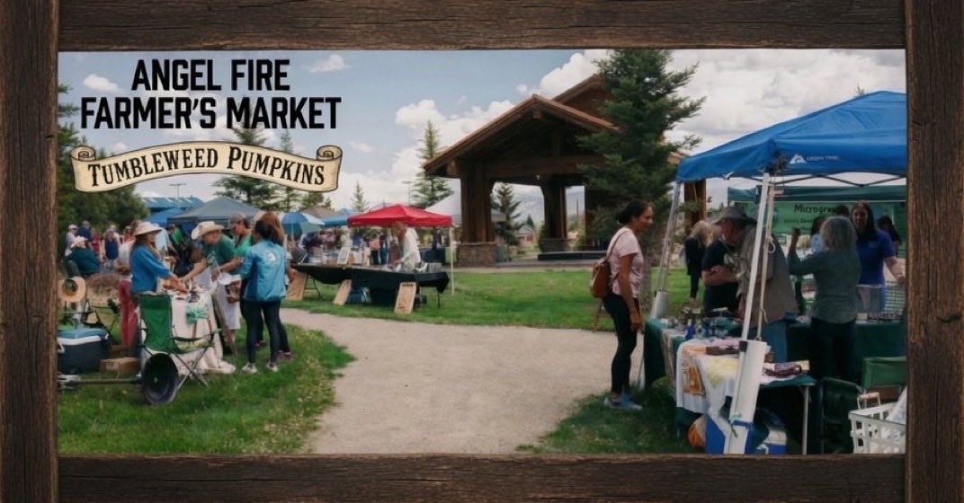 tumbleweeddecor's tweet photo. ✨Angel Fire, New Mexico✨

🤠Come Meet Tumbleweed Pumpkins At The Farmer’s Market in Angel Fire

Sunday, August 30th, 9am to 1pm

⛰️Mountain View Events Center,  
380 Fuego Street, Angel Fire, NM https://t.co/vwz6UIiLxk