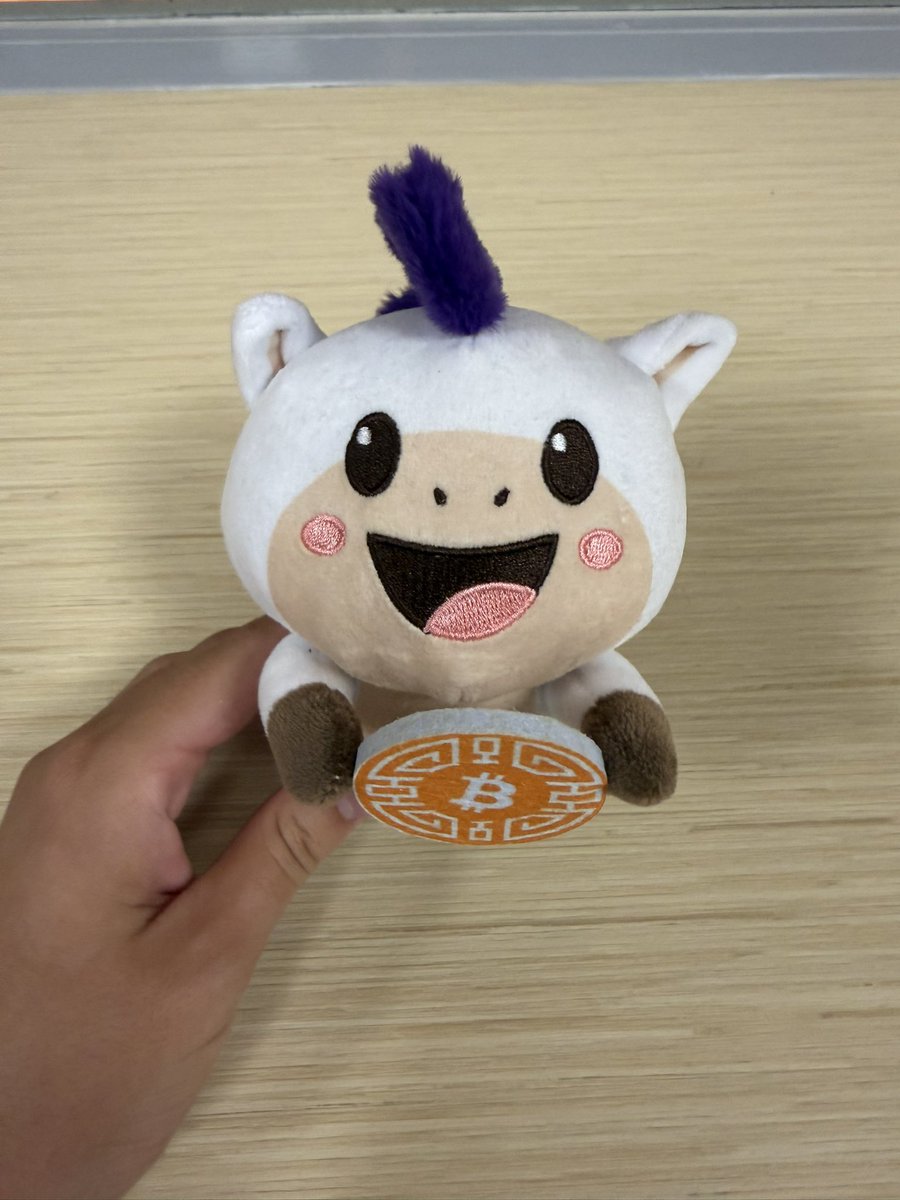 Bitcoinconfasia's tweet photo. @PrettifunLOVE You know it https://t.co/0oetSIQLBr