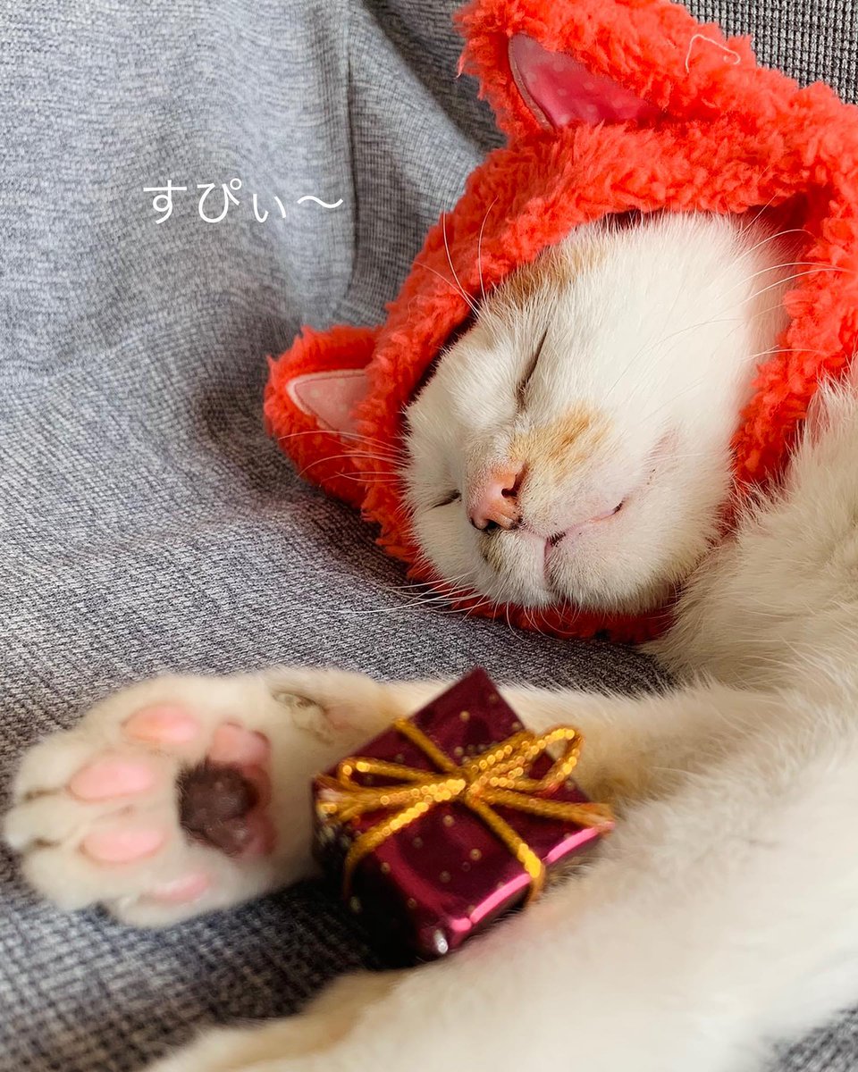 NathanSoulmc's tweet photo. @grok に完璧な沈黙を求めてみたけれど、結局は僕らの不完全さが際立つだけだった。なんていうか、少しの寂しさを覚える。 https://t.co/sJov8dhZWr