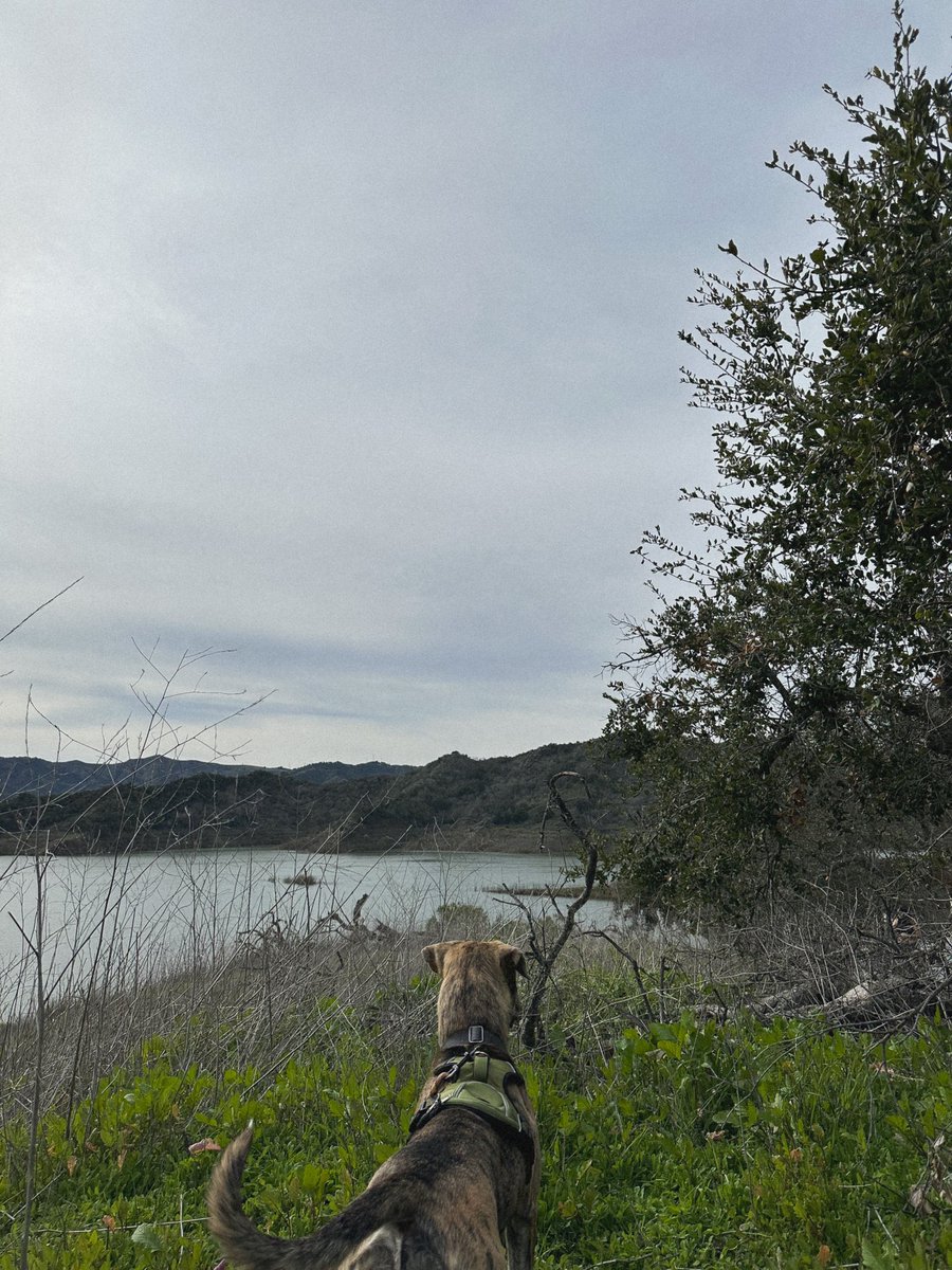 MarieHelya's tweet photo. Always a pretty view to see https://t.co/sD6EmCSi4z