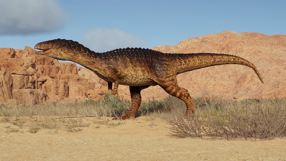TheMasterDoot's tweet photo. Master Doot’s Psuedosuchian Pack!

- Fasolasuchus
- Smilosuchus
- Sillosuchus
- ???? (Any ideas for a fourth? https://t.co/10Sqjuo2gj