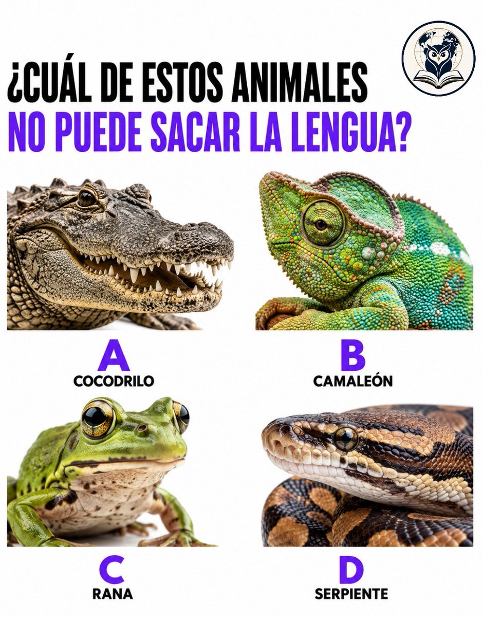 ElProfe_curioso's tweet photo. ¿Cuál de estos animales NO puede sacar la lengua? 🐊🦎🐸🐍

A) Cocodrilo  
B) Camaleón  
C) Rana  
D) Serpiente  

Una sola es correcta.  
Comenta la tuya sin buscar 👀  
(La respuesta te va a sorprender)

#Animales #Curiosidades #ElProfeCurioso https://t.co/VzsJWUIZLV