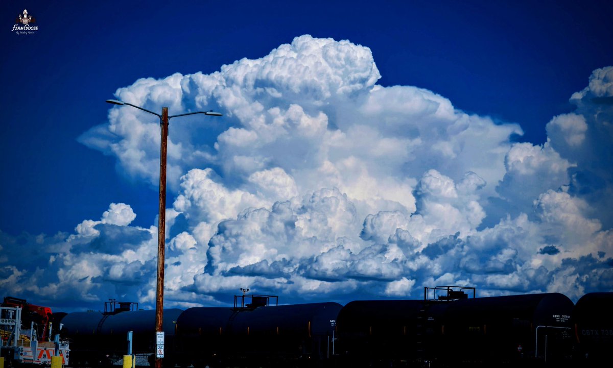 goosenissley's tweet photo. A restless Montana summer storm gathers over Glendive
#Montana #stormclouds #bigskycountry #glendive #easternmontana https://t.co/qDAuS3iNcJ