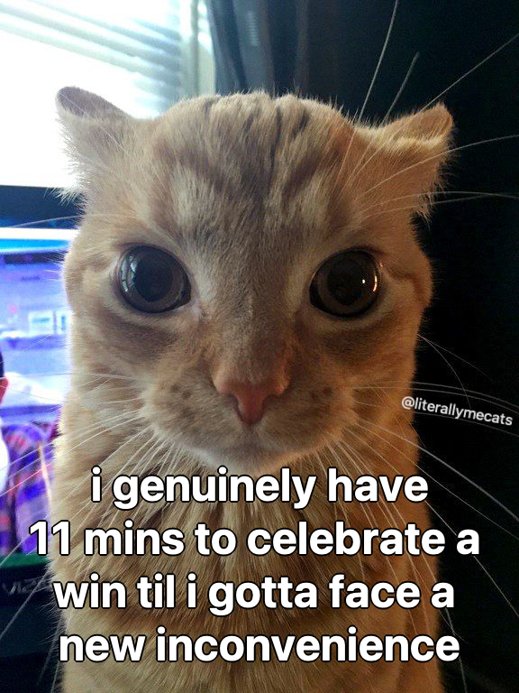 literallymecats's tweet photo. https://t.co/AfNCRZ4Ojd