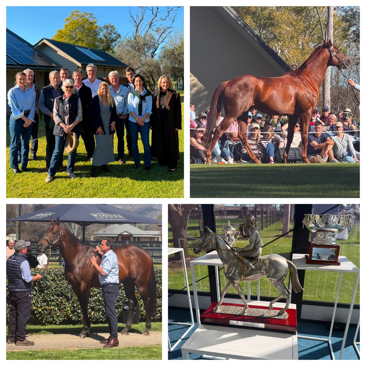 Pinhookhorses's tweet photo. Take me back! 🏇☀️
Wish we could do it all again.
A fantastic weekend in the Hunter for the Stallion Parade Weekend, showcasing the incredible depth and quality the NSW thoroughbred industry has to offer.
A huge thank you to the #Glitterbox Gang for making the weekend that extra bit special — plenty of laughs and great company.
And to Bernie Kane Esquire @middlebrook_valley_lodge for the outstanding accommodation and hospitality. 👏
Great horses. Great people. Great weekend. ❤️🐎
@kym.grant.13 @thelochequine @thestraight.com.au @rowe_tim_
@janecambo @powerplasta @fandersen