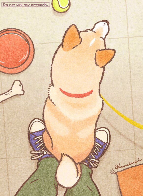 momokera_'s tweet photo. 犬のざぶとん人

#世界犬の日 #InternationalDogDay https://t.co/LZCJuaPA0o