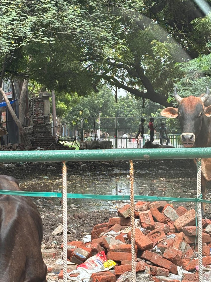 nitinitin's tweet photo. @noida_authority bad sanitation conditions water and waste accumulation in Jaypee Wishtown, sec 128 towards Asgarpur entry. Mosquito breeding ground, many residents have fallen ill with Dengue and Malaria in last 4 weeks. Health Hazard. @CeoNoida @UPCMOffice https://t.co/eEZe5db09H