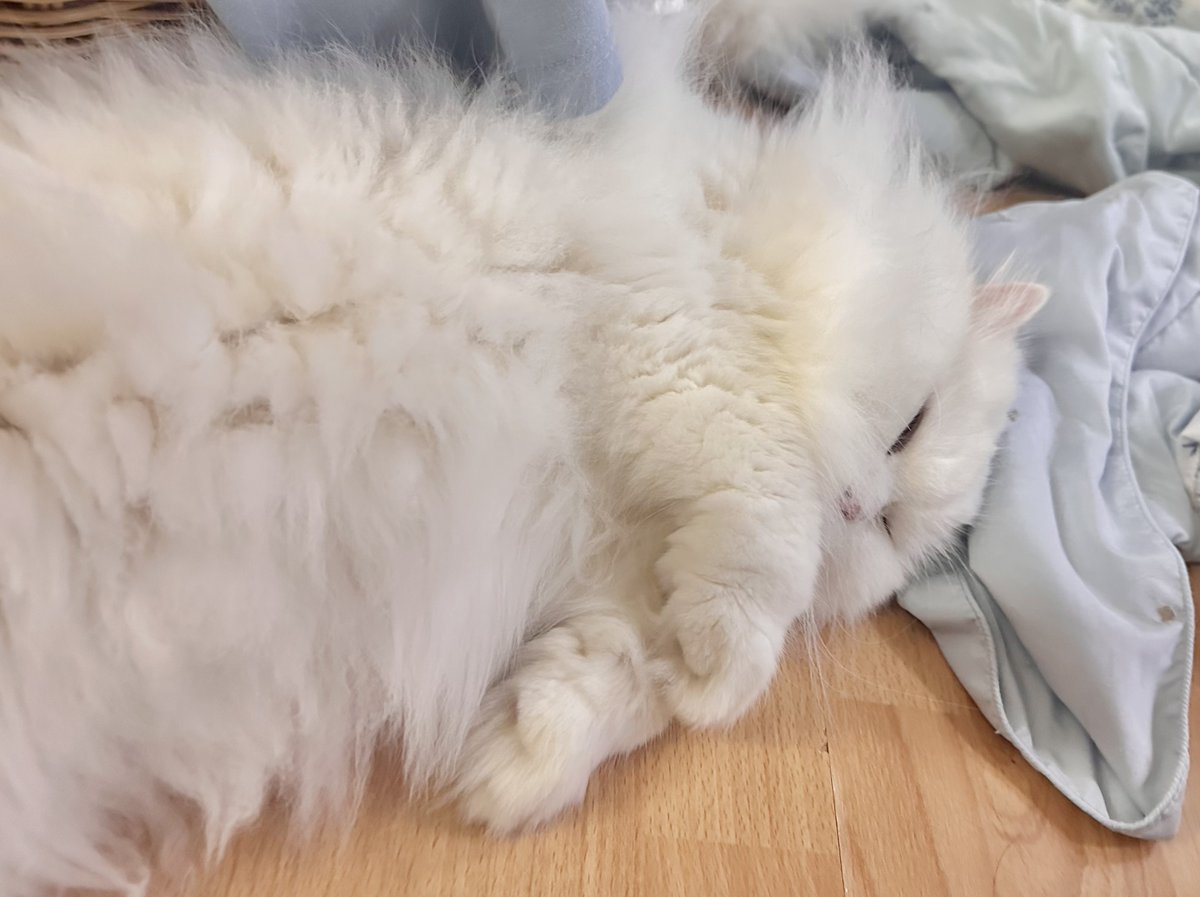 pspanacea's tweet photo. นอนก้อ้วร https://t.co/PuvaDwmQyF