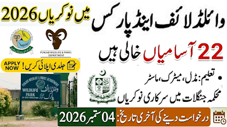MuhammadSa90659's tweet photo. Punjab Wildlife & Parks Department Jobs 2026 – August Recruitment Advertisement
https://t.co/su8RRy9LRL
#momsonn #درود_وسلام #allah #rabiulawal #darood #muhammad #فنڈز_چور_عمران_ریاض #newjobsalerts #muzaffargarh #PunjabWildlifeJobs #PunjabJobs2026 #todayJobs #LatestJobs2026 https://t.co/K7ILBWZEyM