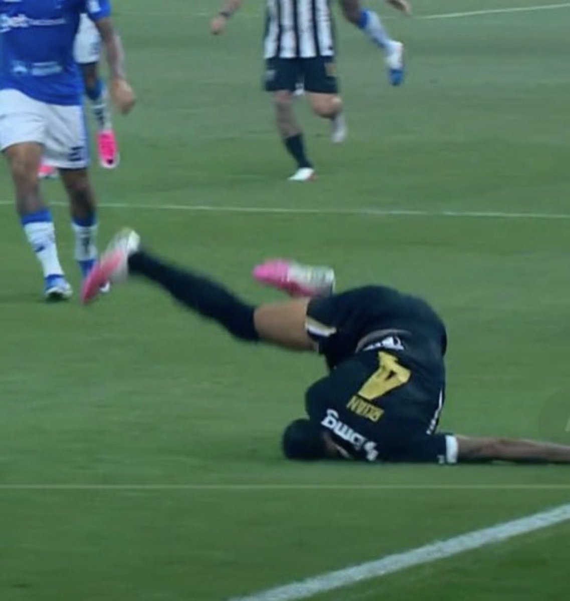 Jpms_217's tweet photo. Ruan Tressoldi confunde o gramado do mineirão com pasto e tenta come-lo https://t.co/O2Howg5rwW