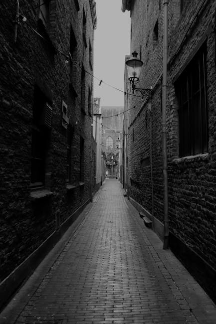 robinsonsarah55's tweet photo. Chris with awesome Grace Charlotte Perfect evening people dalton brill🟩 https://t.co/0dyYseJuBb