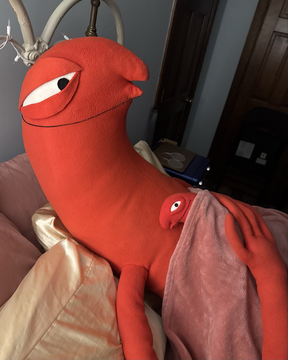 basicallyedd's tweet photo. one of the allanlings broke his arm so he’s getting some extra love https://t.co/vV7Eg2vjLP