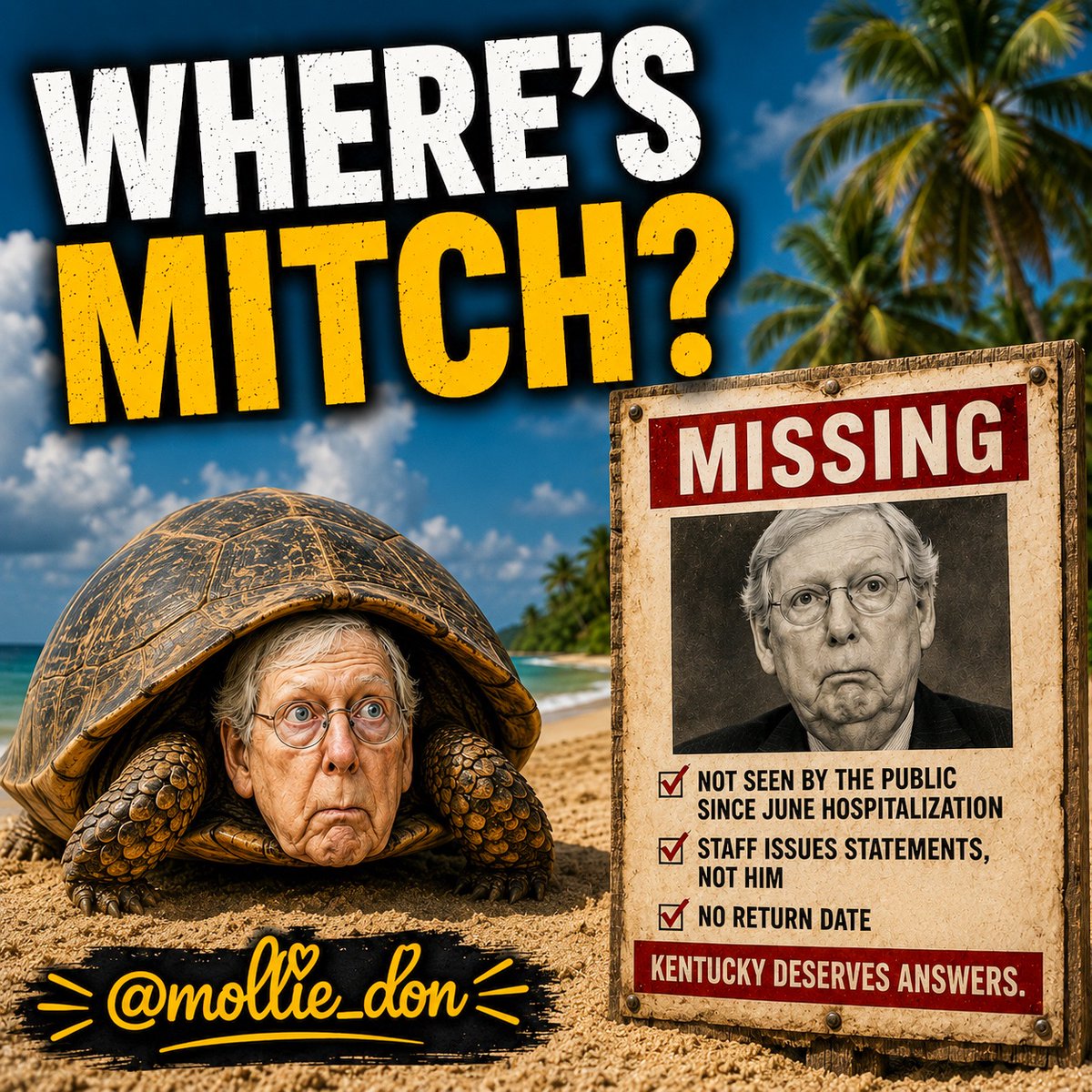 mollie_don's tweet photo. WHERE’S MITCH? 🐢

It’s August 26 and Mitch McConnell hasn’t been seen publicly or returned to the Senate since his June hospitalization.

His staff keeps issuing statements saying he’s home recovering.

If the health scare was minor, why has no one seen him, and why is there still no return date?

Kentucky voters deserve answers.
