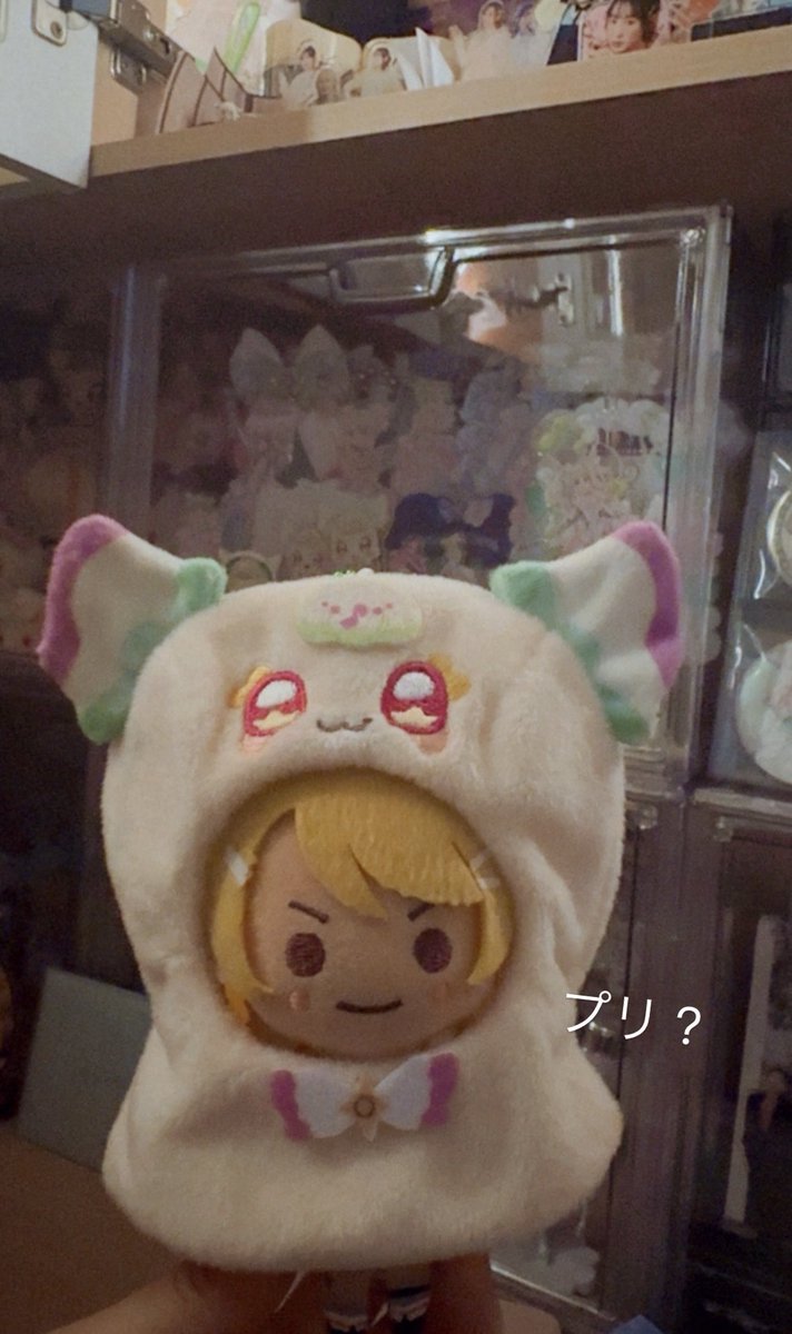 habeee91's tweet photo. かわいい。 https://t.co/1fyer4b0AR