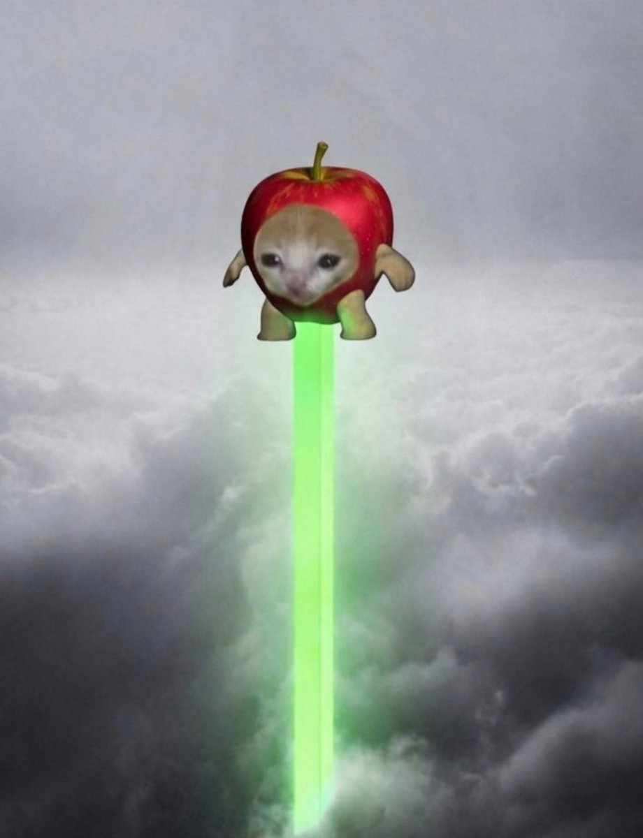 AAPLCAT_'s tweet photo. @Natan_benish @fomo @longdotxyz ur $AAPLCAT on @fomo looks sexy green meow meow ser
HIGHER ! https://t.co/EfAPgOdQdK