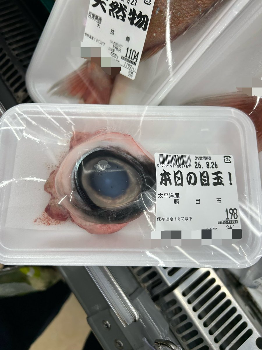 jnskak_ms's tweet photo. 本日の目玉の目玉 https://t.co/7Ct3Ol3CJL
