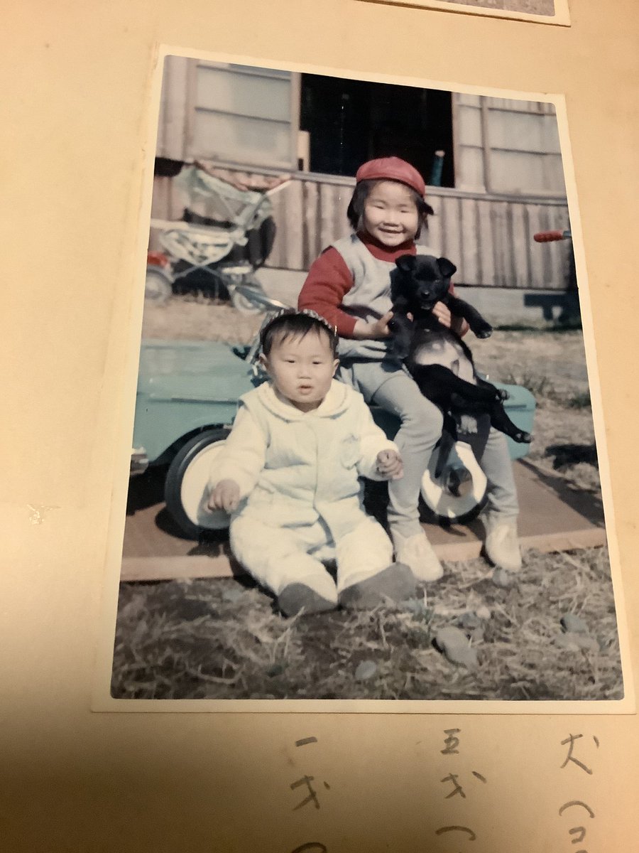 Geddy_873's tweet photo. #世界犬の日 

1967年に撮られたカラープリント。 https://t.co/ZmadBNmhKj